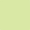 402-Neon:  a paint color by Benjamin Moore avaiable at Clement's Paint in Austin, TX.