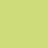 403-Candy: Green  a paint color by Benjamin Moore avaiable at Clement's Paint in Austin, TX.