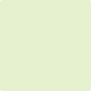 407-Lime: Accent  a paint color by Benjamin Moore avaiable at Clement's Paint in Austin, TX.