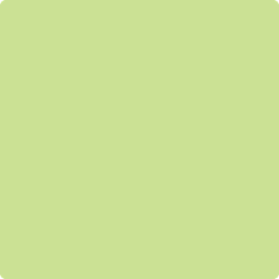 411-Celtic: Folklore  a paint color by Benjamin Moore avaiable at Clement's Paint in Austin, TX.