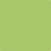 412-Spring: Hill Green  a paint color by Benjamin Moore avaiable at Clement's Paint in Austin, TX.