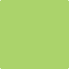 418-Willow: Springs Green  a paint color by Benjamin Moore avaiable at Clement's Paint in Austin, TX.