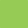 419-Malachy: Green  a paint color by Benjamin Moore avaiable at Clement's Paint in Austin, TX.