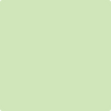 423-Pine: Springs  a paint color by Benjamin Moore avaiable at Clement's Paint in Austin, TX.