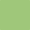426-Fresh: Grass  a paint color by Benjamin Moore avaiable at Clement's Paint in Austin, TX.