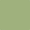 432-Grenada: Green  a paint color by Benjamin Moore avaiable at Clement's Paint in Austin, TX.