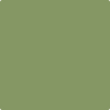 433-Forest: Hills Green  a paint color by Benjamin Moore avaiable at Clement's Paint in Austin, TX.