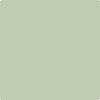 438-Spring: Valleys  a paint color by Benjamin Moore avaiable at Clement's Paint in Austin, TX.