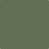 441-Alligator: Alley  a paint color by Benjamin Moore avaiable at Clement's Paint in Austin, TX.