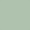 451-Pine: Forest  a paint color by Benjamin Moore avaiable at Clement's Paint in Austin, TX.