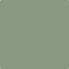453-Adirondack: Green  a paint color by Benjamin Moore avaiable at Clement's Paint in Austin, TX.