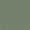 468-Cambridge: Green  a paint color by Benjamin Moore avaiable at Clement's Paint in Austin, TX.