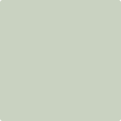 471-Tea: Light  a paint color by Benjamin Moore avaiable at Clement's Paint in Austin, TX.