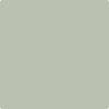 472-Aganthus: Green  a paint color by Benjamin Moore avaiable at Clement's Paint in Austin, TX.