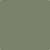 475-Galapagos: Green  a paint color by Benjamin Moore avaiable at Clement's Paint in Austin, TX.