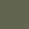 476-Jade: Romanesque  a paint color by Benjamin Moore avaiable at Clement's Paint in Austin, TX.