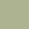 481-Dill: Weed  a paint color by Benjamin Moore avaiable at Clement's Paint in Austin, TX.