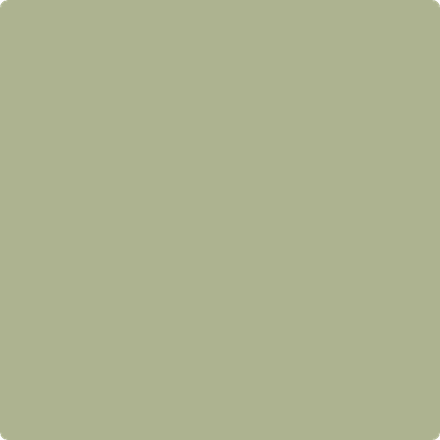 481-Dill: Weed  a paint color by Benjamin Moore avaiable at Clement's Paint in Austin, TX.