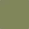 483-Home: on the Range  a paint color by Benjamin Moore avaiable at Clement's Paint in Austin, TX.