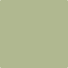 487-Liberty: Park  a paint color by Benjamin Moore avaiable at Clement's Paint in Austin, TX.