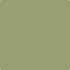 488-Mountain: Lane  a paint color by Benjamin Moore avaiable at Clement's Paint in Austin, TX.