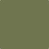 490-Pine: Brook  a paint color by Benjamin Moore avaiable at Clement's Paint in Austin, TX.