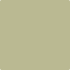 494-Lewiville: Green  a paint color by Benjamin Moore avaiable at Clement's Paint in Austin, TX.