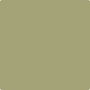 495-Hillside: Green  a paint color by Benjamin Moore avaiable at Clement's Paint in Austin, TX.