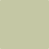 501-Mesquite:  a paint color by Benjamin Moore avaiable at Clement's Paint in Austin, TX.