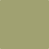 503-Fraser: Fir  a paint color by Benjamin Moore avaiable at Clement's Paint in Austin, TX.