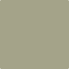 509-Cypress: Green  a paint color by Benjamin Moore avaiable at Clement's Paint in Austin, TX.