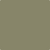 510-Springfield: Sage  a paint color by Benjamin Moore avaiable at Clement's Paint in Austin, TX.