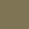 517-Greenbrook:  a paint color by Benjamin Moore avaiable at Clement's Paint in Austin, TX.