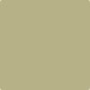 523-Ivy: Lane  a paint color by Benjamin Moore avaiable at Clement's Paint in Austin, TX.