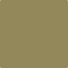 525-Savannah: Shade  a paint color by Benjamin Moore avaiable at Clement's Paint in Austin, TX.