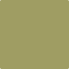 531-Ponderosa: Pine  a paint color by Benjamin Moore avaiable at Clement's Paint in Austin, TX.