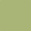 538-Vienna: Green  a paint color by Benjamin Moore avaiable at Clement's Paint in Austin, TX.