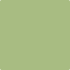 543-Woodland: Hills Green  a paint color by Benjamin Moore avaiable at Clement's Paint in Austin, TX.