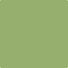 544-Kiwi:  a paint color by Benjamin Moore avaiable at Clement's Paint in Austin, TX.