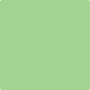 550-Paradise: Green  a paint color by Benjamin Moore avaiable at Clement's Paint in Austin, TX.