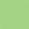 557-Leprechaun: Green  a paint color by Benjamin Moore avaiable at Clement's Paint in Austin, TX.