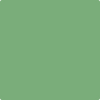 565-Aurora: Borealis  a paint color by Benjamin Moore avaiable at Clement's Paint in Austin, TX.