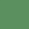 566-Bunker: Hill Green  a paint color by Benjamin Moore avaiable at Clement's Paint in Austin, TX.