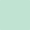 575-Tropical: Paradise  a paint color by Benjamin Moore avaiable at Clement's Paint in Austin, TX.