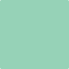 585-Lady: Liberty  a paint color by Benjamin Moore avaiable at Clement's Paint in Austin, TX.