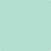 598-Surf: 'n Turf  a paint color by Benjamin Moore avaiable at Clement's Paint in Austin, TX.