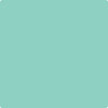 605-Calming: Green  a paint color by Benjamin Moore avaiable at Clement's Paint in Austin, TX.