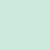 610-Antigua: Aqua  a paint color by Benjamin Moore avaiable at Clement's Paint in Austin, TX.