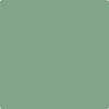 628-Winchester: Sage  a paint color by Benjamin Moore avaiable at Clement's Paint in Austin, TX.