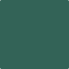 651-Brazilian: Rainforest  a paint color by Benjamin Moore avaiable at Clement's Paint in Austin, TX.
